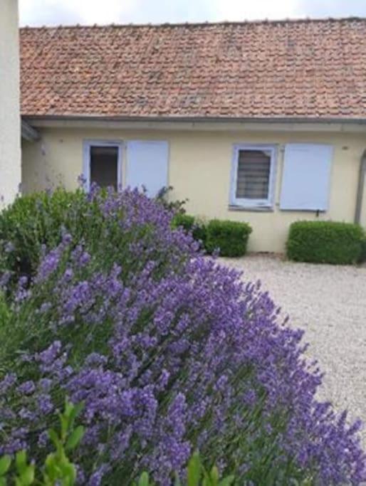 Gite Campagne Aupthiesomme Entre Terre Et Mer Brailly-Cornehotte Buitenkant foto